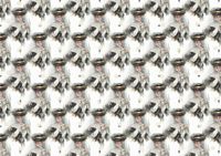 elegant lady landscape backing sheet