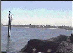 Port Philip Bay shoreline ...