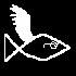 dodiebird trademark