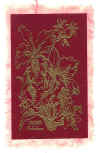 springswap-colleen.jpg (52413 bytes)