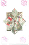 springswap-saraho.jpg (40460 bytes)