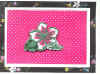springswap-unknown1.jpg (42867 bytes)