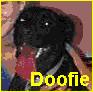 Doofie