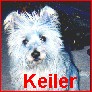 Keiler