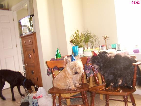 Surprise party