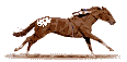 Galloping
Appy