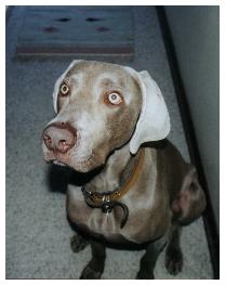 I have my own page on Brian's site... just click me to learn about me