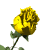Click for animation