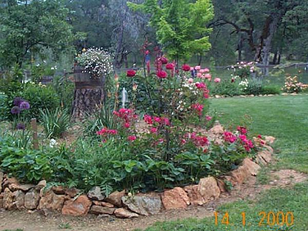 Photo of Backyard '00