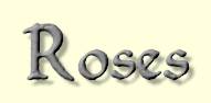 rose page