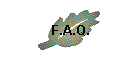 F.A.Q.