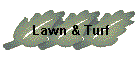 Lawn & Turf