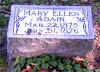 g28adagwadairmaryellen.jpg (194088 bytes)