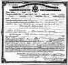 8.2jenemsvendptnaturalization.jpg (469980 bytes)