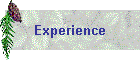 Experience