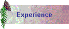 Experience