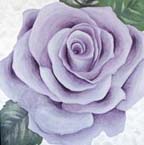 Purple Rose 1