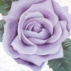 Purple Rose 2