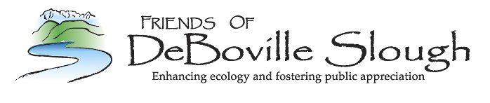 friends of deboville slough