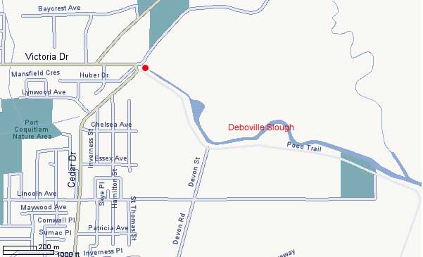 Slough Map