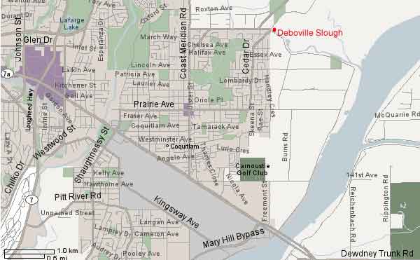 Area Map