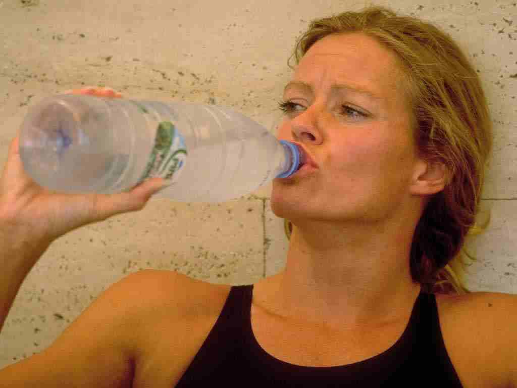 debruijn_drinking.jpg (19580 bytes)