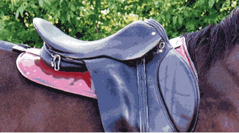 padandsaddleonhorse
