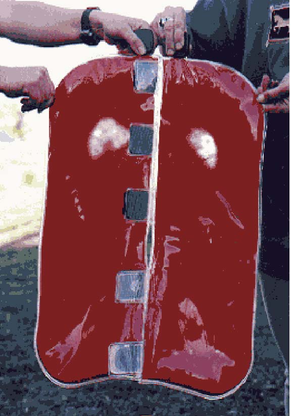 padshowingsoring