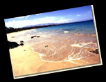Hawaii Links