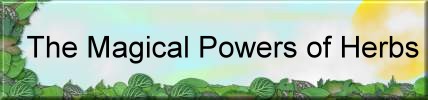 The Magical Powers of Herbs
