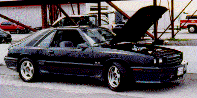 A DECH Capri