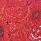 Detalhe do quadro Renata contra Fundo Rosa-Garan�a, de D�dalo Vandalbrain