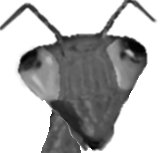 Ryozenzuzex, a thranx hero