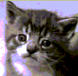 Awww so cute