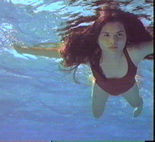 Lisa Jakub