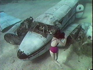 in the movie  Bermuda Triangle
