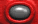 red_passion_wht0005x1.gif