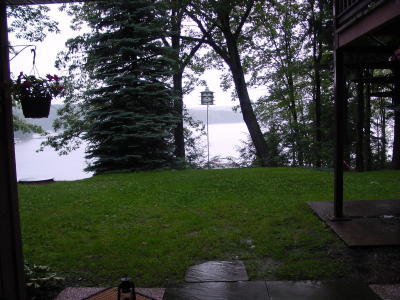 The view from the patio