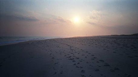 Mosesbeach
