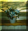 windowpot.jpg (8904 bytes)