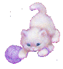 Kitten
