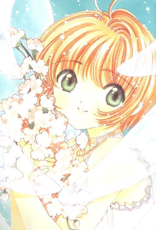 Sakura