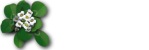 stpattysblbut.jpg (2215 bytes)