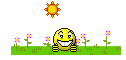 Smilie sorrindo e sol de fundo