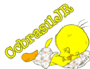 Imagem do piu piu em repouso e inscri��o CCbrasilJ�NIOR