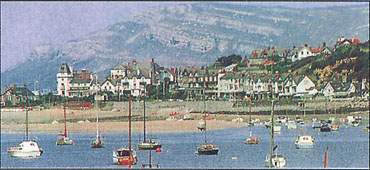 Bay.jpg (38257 bytes)