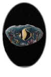 Angelfish.jpg (27254 bytes)