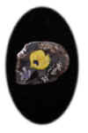 FishPendant.jpg (24376 bytes)