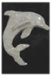 dolphinclay.jpg (26666 bytes)