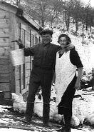 picture of happy days